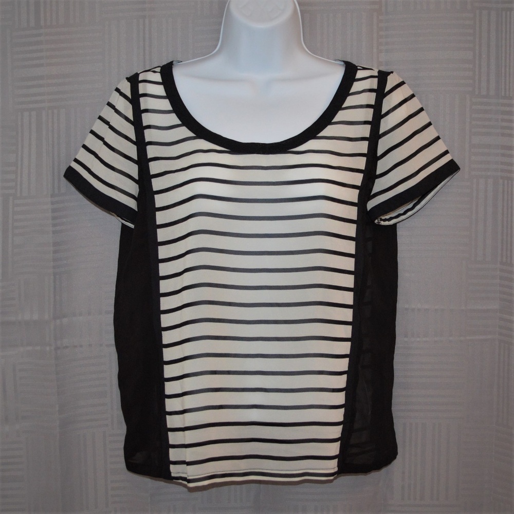 American Eagle sheer top